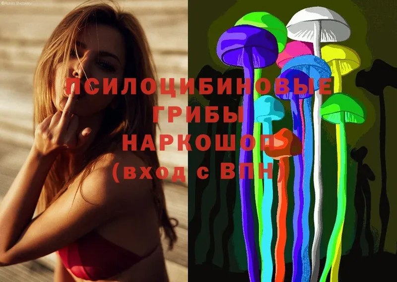 Псилоцибиновые грибы Psilocybe  Володарск 